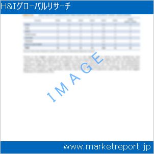 市場と産業調査レポートのイメージ
